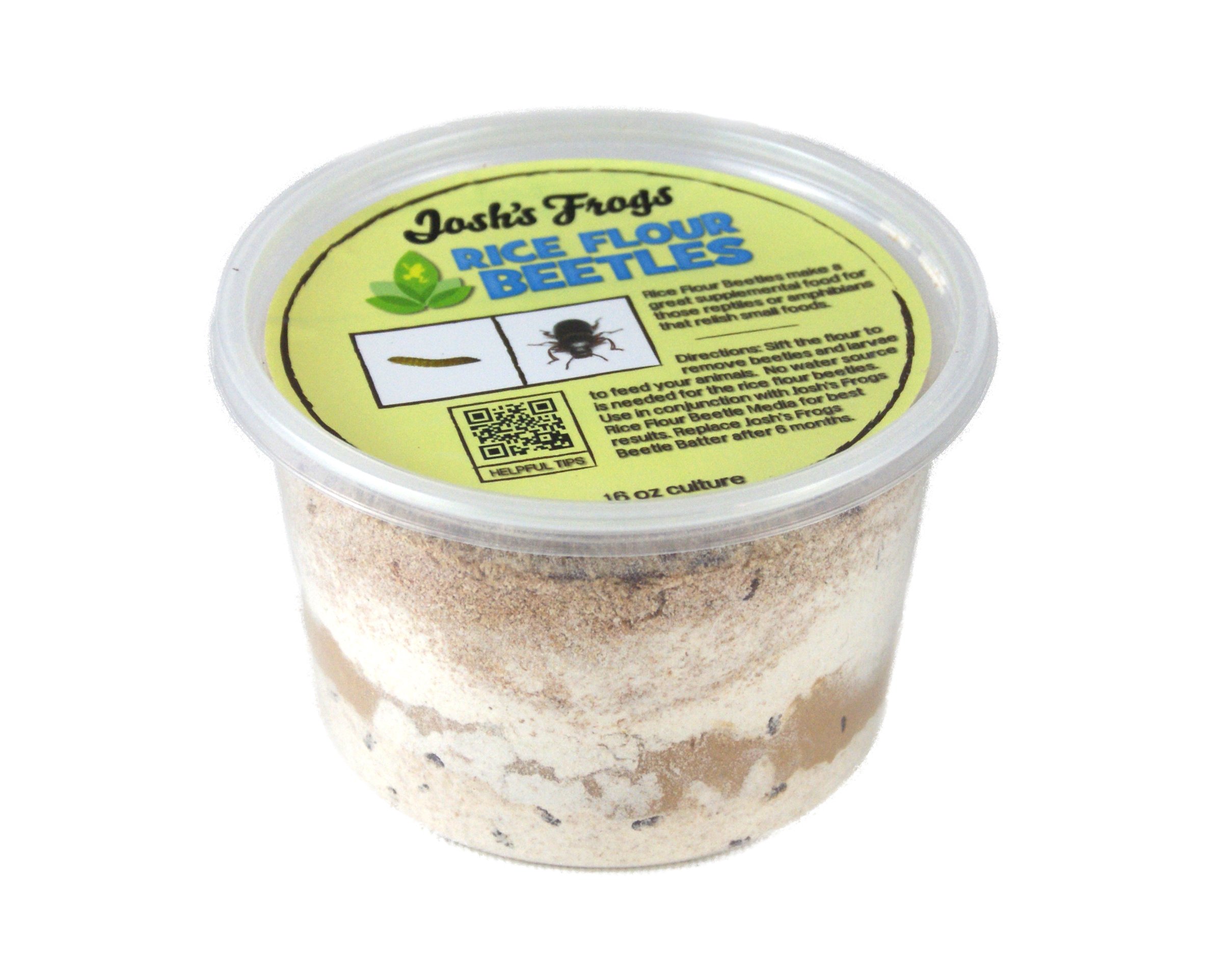 Josh's Frogs Rice Flour Beetle Culture (16 oz)