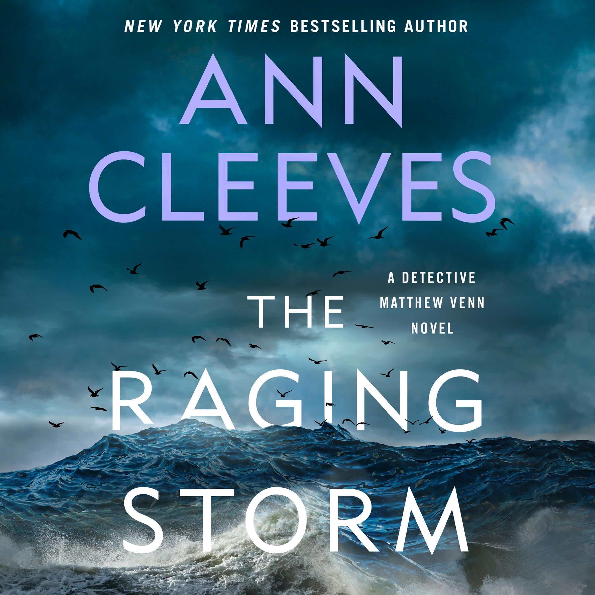 Cover art for The Raging Storm