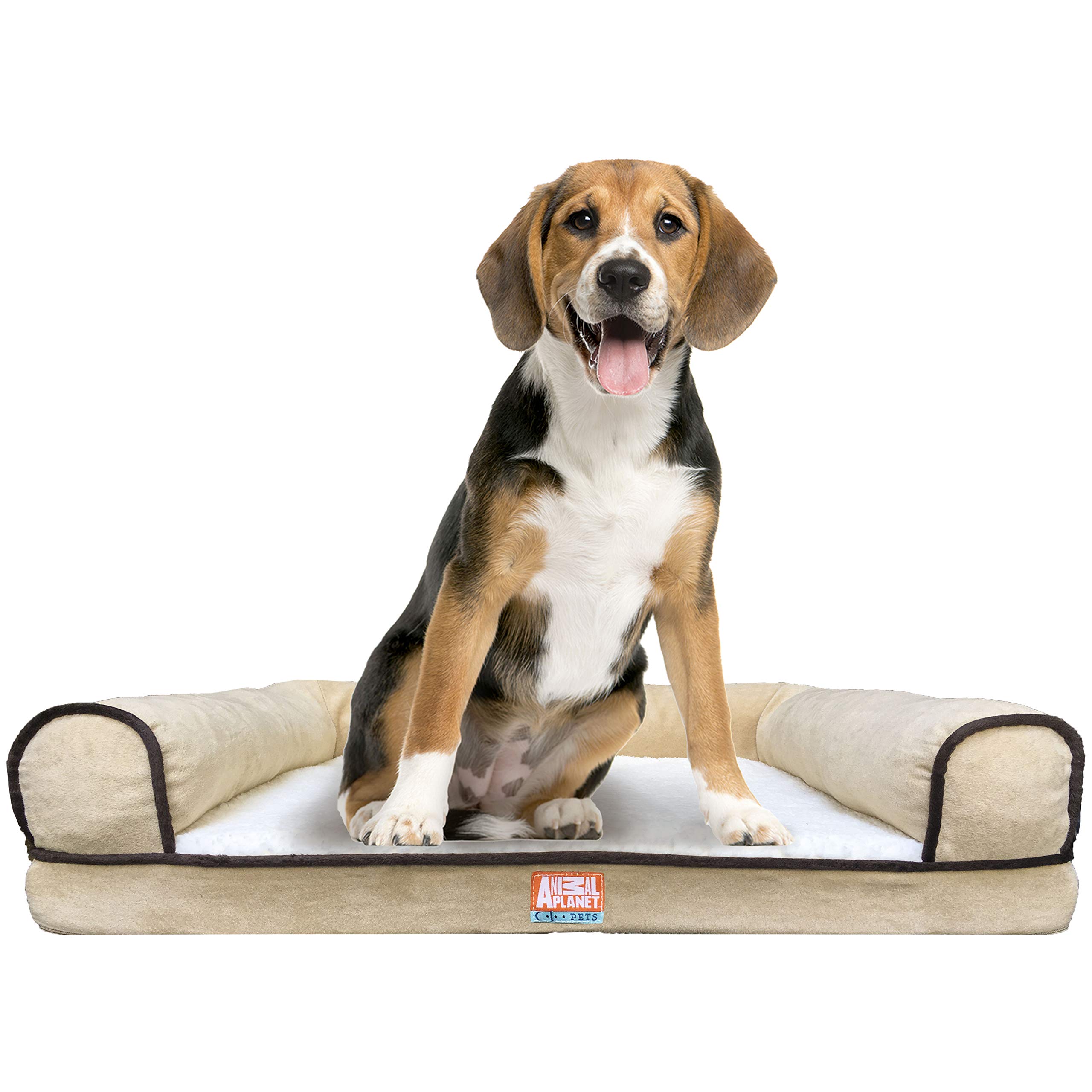 Dog Beds Animal Planet Memory Foam Lounger Memory Foam Pet Bed