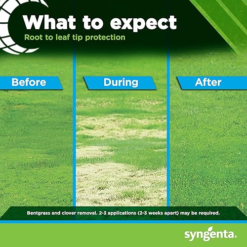 Miniatura 7 de tenacidad Césped Herbicida8onzas