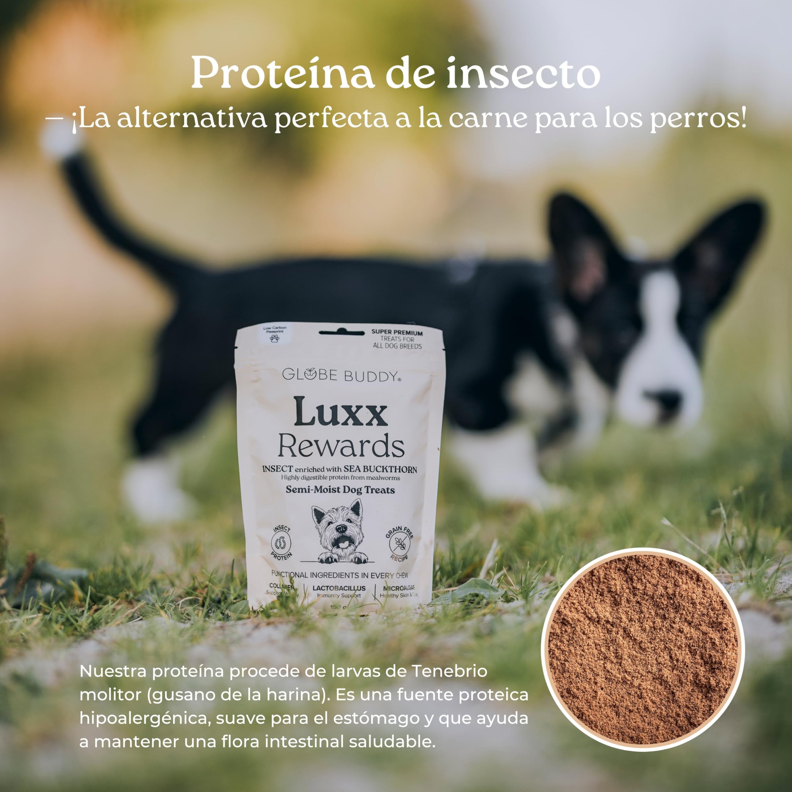 Luxx Rewards – Pack 10×150 g – Snacks Hipoalergénicos sin Cereales con Proteína de Insectos para Perros – Apoyo a Movilidad e Inmunidad – Premios Super Premium