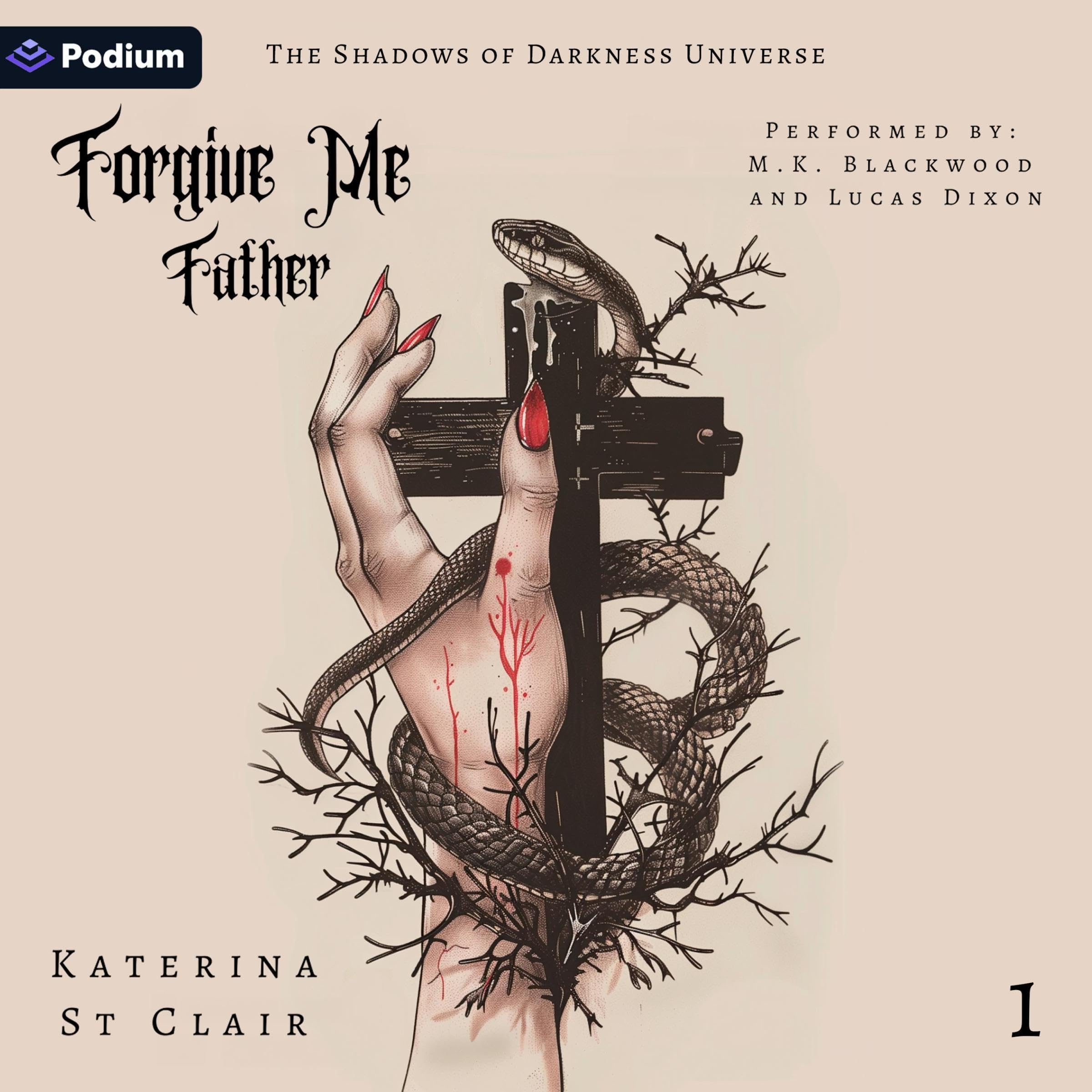 Cover art for Forgive Me Father