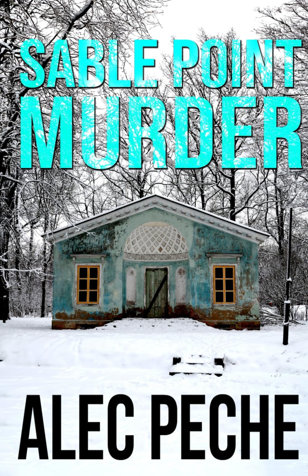 Sable Point Murder (Jill Quint, MD, Forensic Pathologist Series)