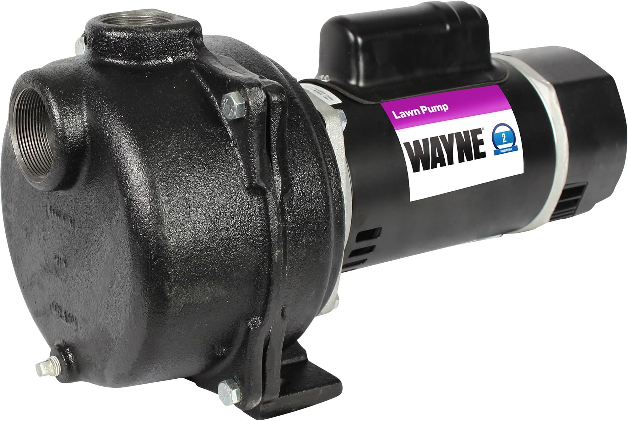 WLS200 2 HP Cast Iron High Volume Lawn Sprinkling Pump, 2-Horsepower, Green