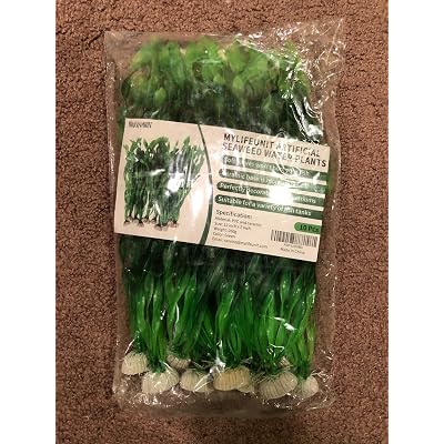ubuy Ireland