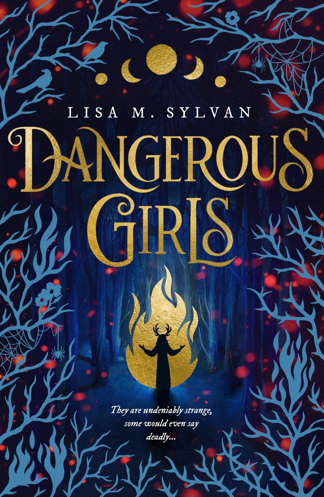 Dangerous Girls by Lisa M. Sylvan (Paperback Book)