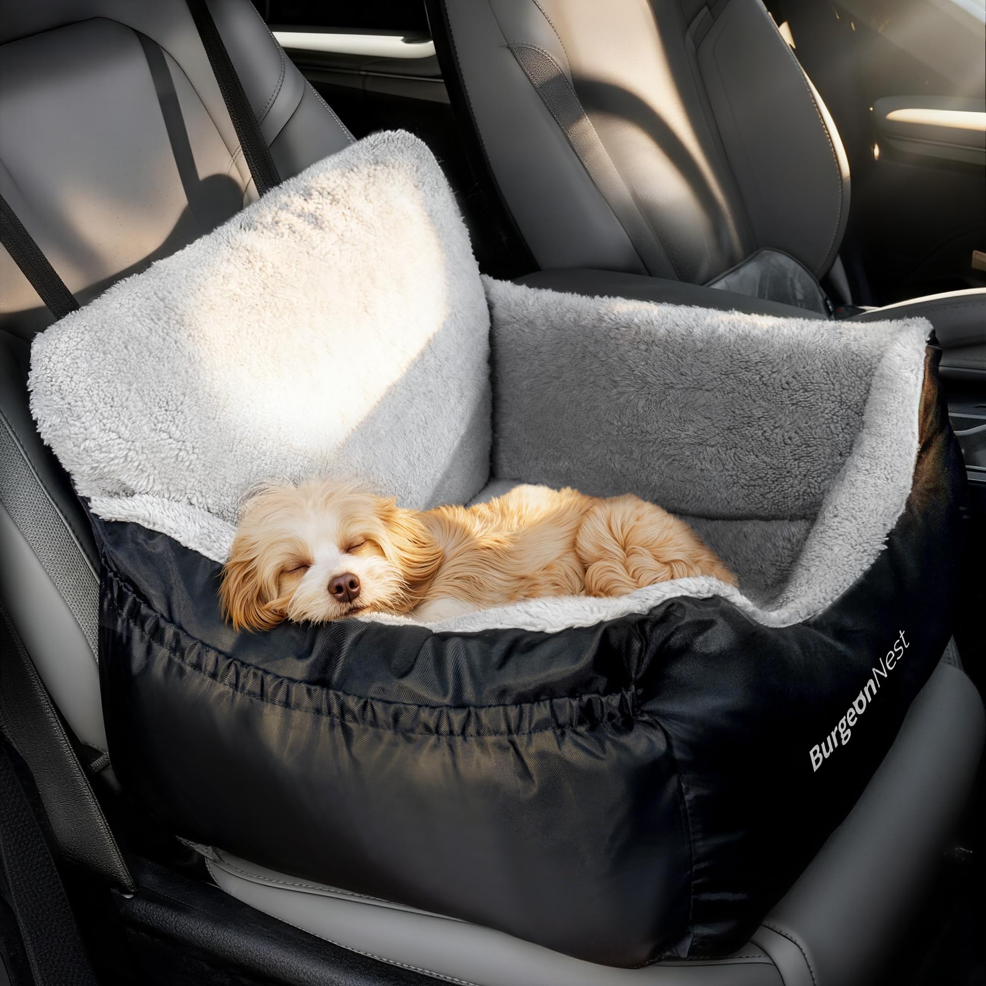 Amazon.co.jp: BurgeonNest 犬用カーシート 小型犬用 完全に取り外して 