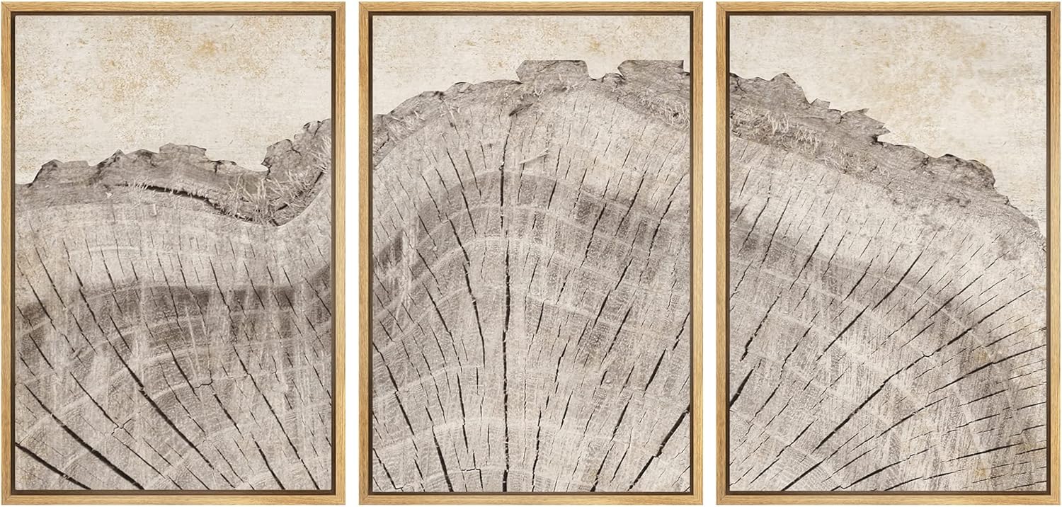 SIGNWIN Framed Canvas Print Wall Art Set Retro Close Up Oak Wood Tree Rings Nature Wilderness Illustrations Modern Art Decorative Farmhouse Zen for Living Room, Bedroom, Office - 24"x36"x3 Natural