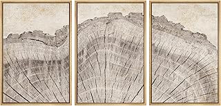 SIGNWIN Framed Canvas Print Wall Art Set Retro Close Up Oak Wood Tree Ri...