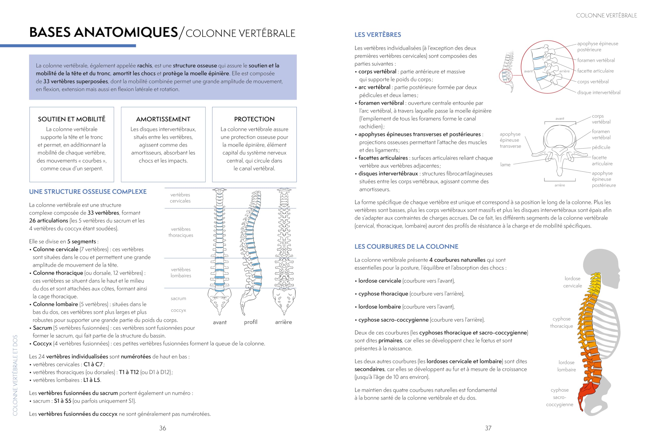 L'encyclopédie du yoga thérapeutique: Pathologies musculo-squelettiques, maladies organiques, santé mentale