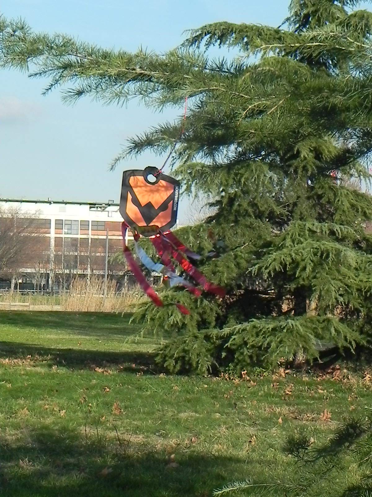 SCARYBIRD Face - Pack of 3