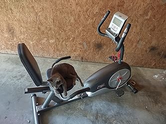 ccm 979 exercise bike