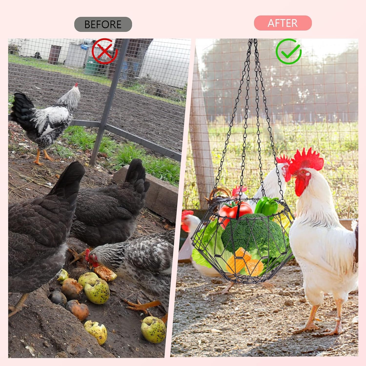 GNHG Hühner-Futterautomat 2-in-1 - Hängende Obst- Und Gemüsenetze Mit Edelstahl-Spieß
