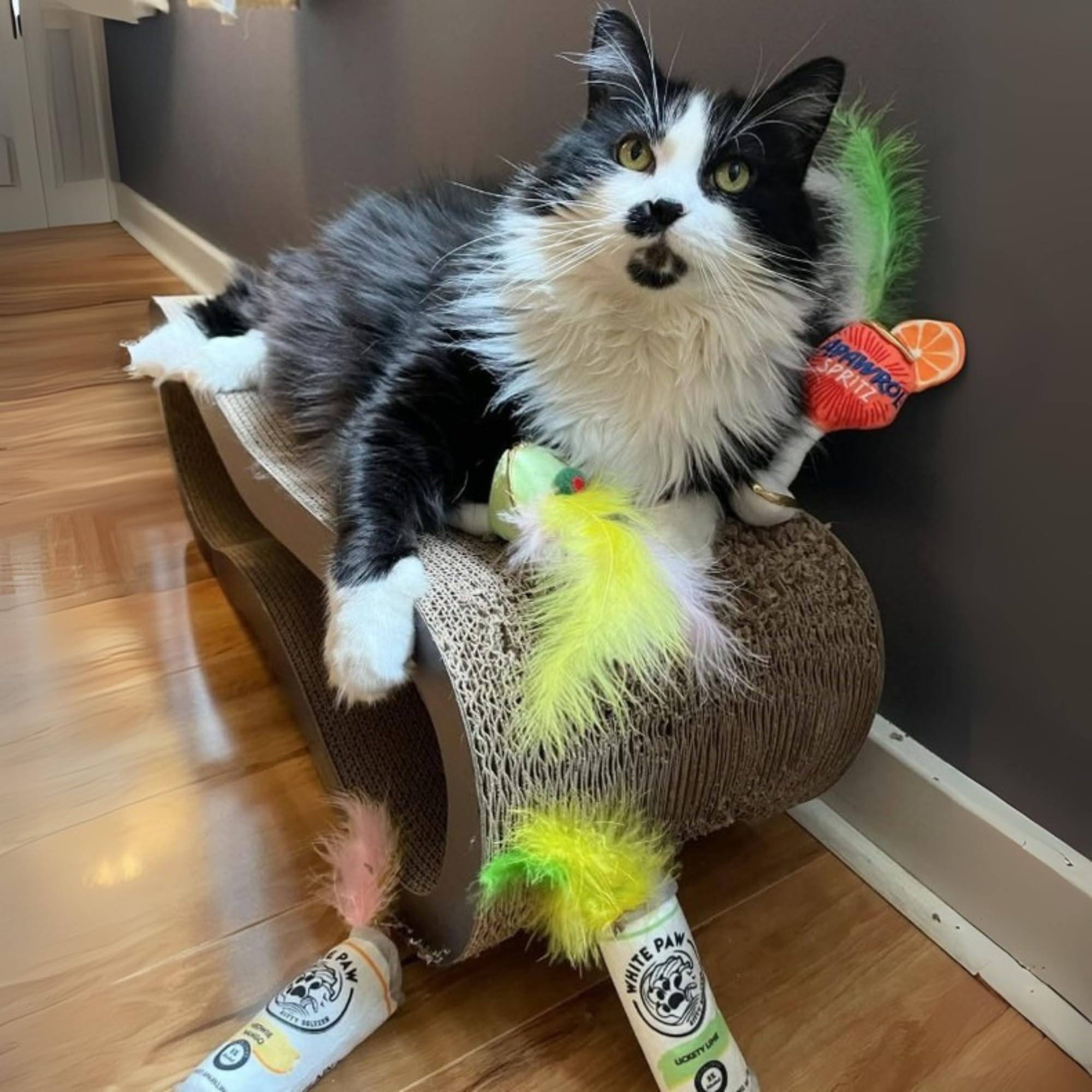 Haute Diggity Kitty Biała łapa mango i limonka + purrrona zestaw butelek piwa i piłek, pluszowe zabawki dla kota kocimiętka wypełniona interaktywnym dźwiękiem trzaskania, bezpieczne i trwałe zabawki