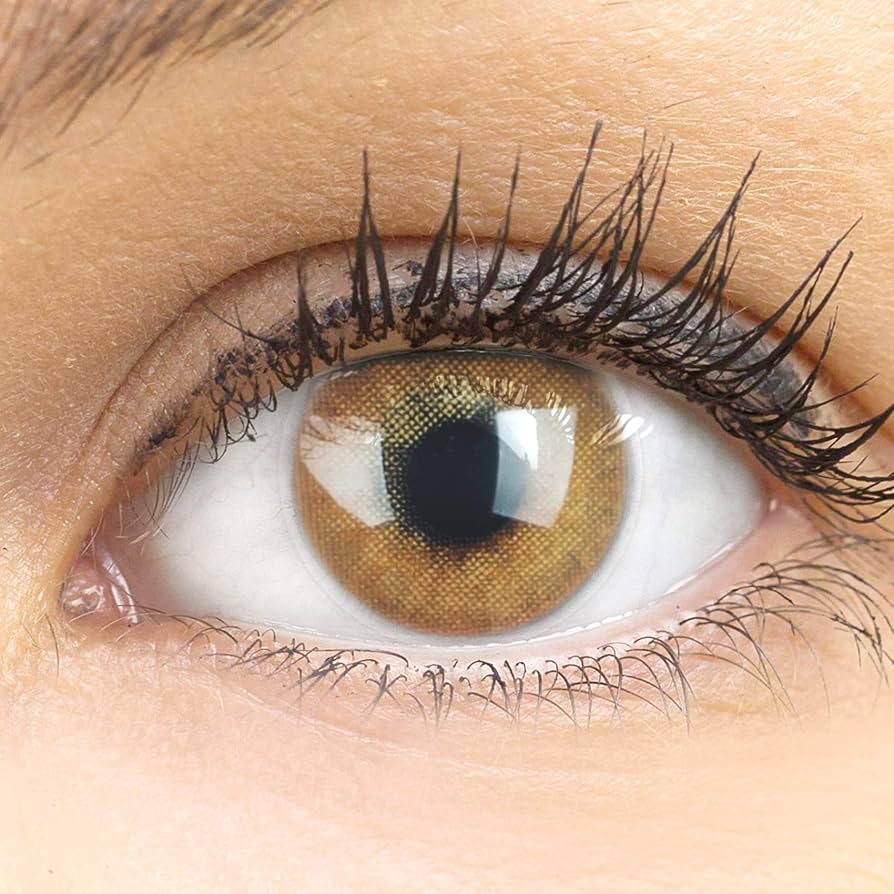 GLAMLENS Lenti a contatto colorate marrone chiaro Jas Brown Hazel - mensili  - con porta lenti a contatto -