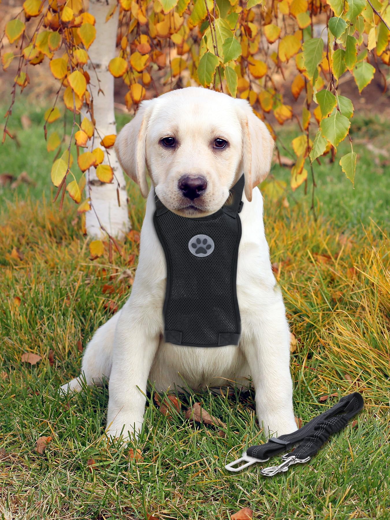 Dog Harness and Dog Seat Belt for Car, Adjustable, Breathable Puppy Harness with Safety Features Medium