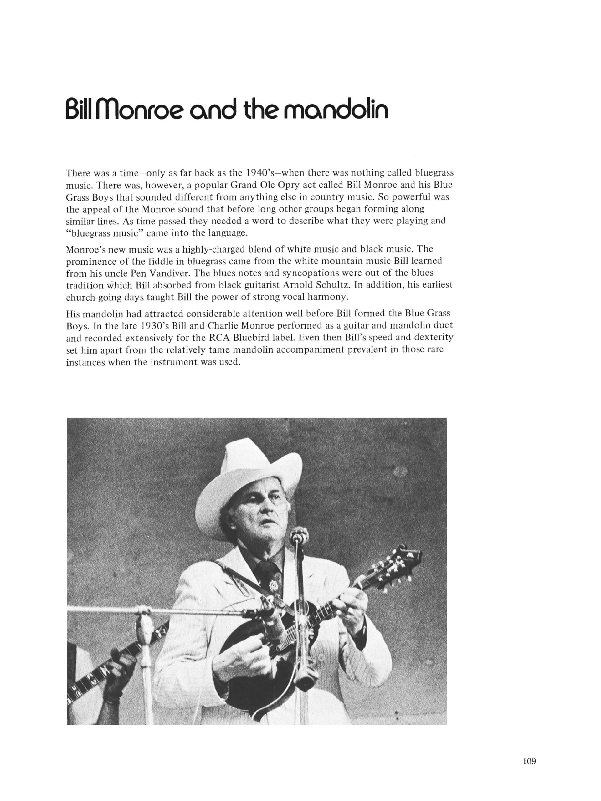 Bluegrass mandolin