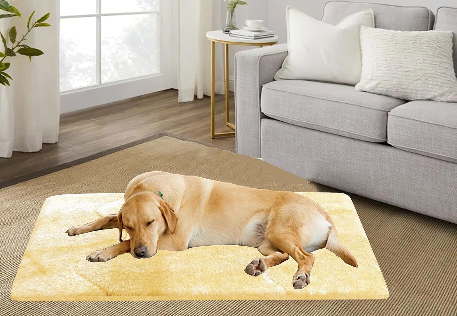 Callas Dog and Cat Bed/Mat Super Soft Pet Bed/Mat for Dog & Cat Pet Beds for Pets Sleeping