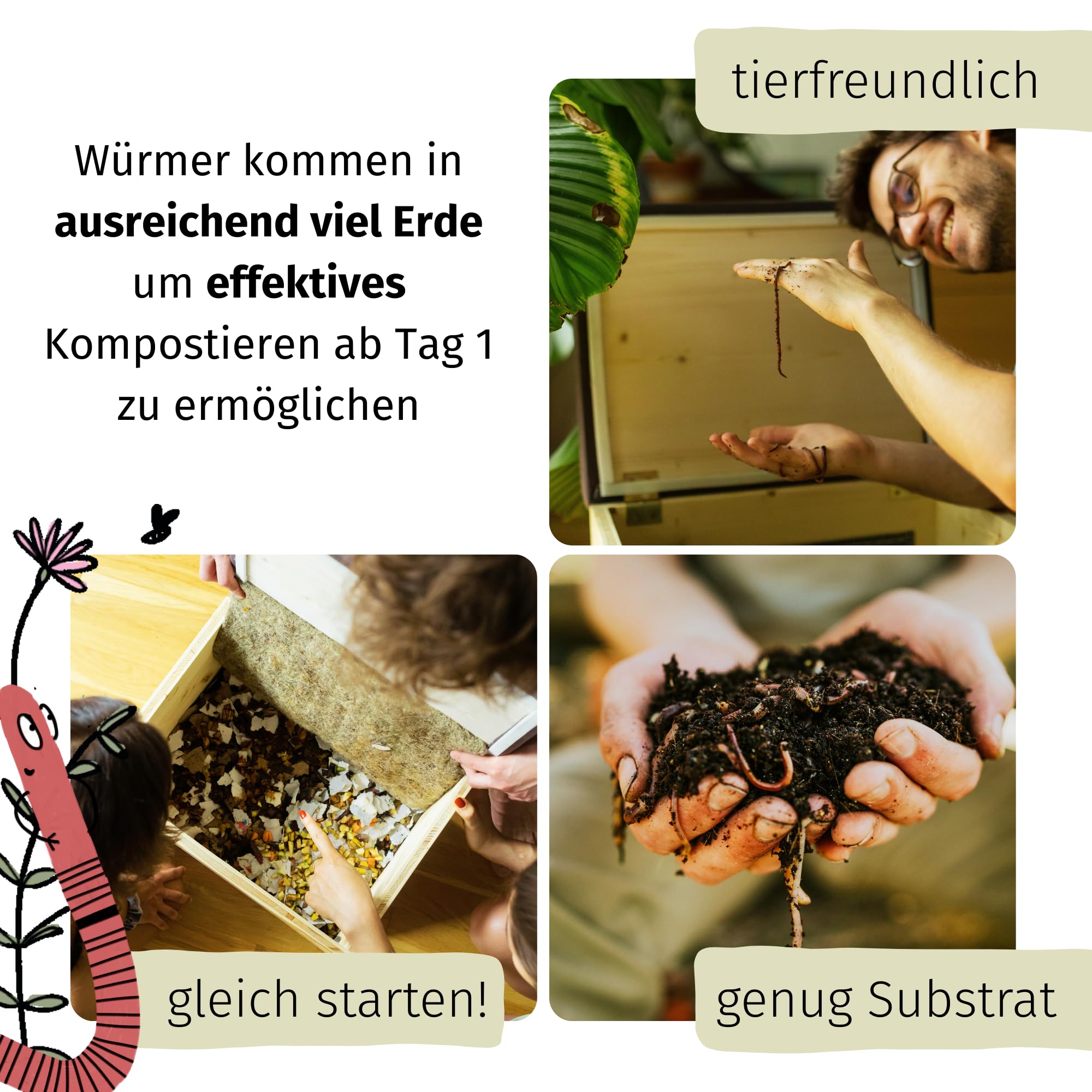 500 Kompostwürmer kaufen in 5L Kompoststarter Substrat - Eisenia Würmer produzieren Wurmhumus