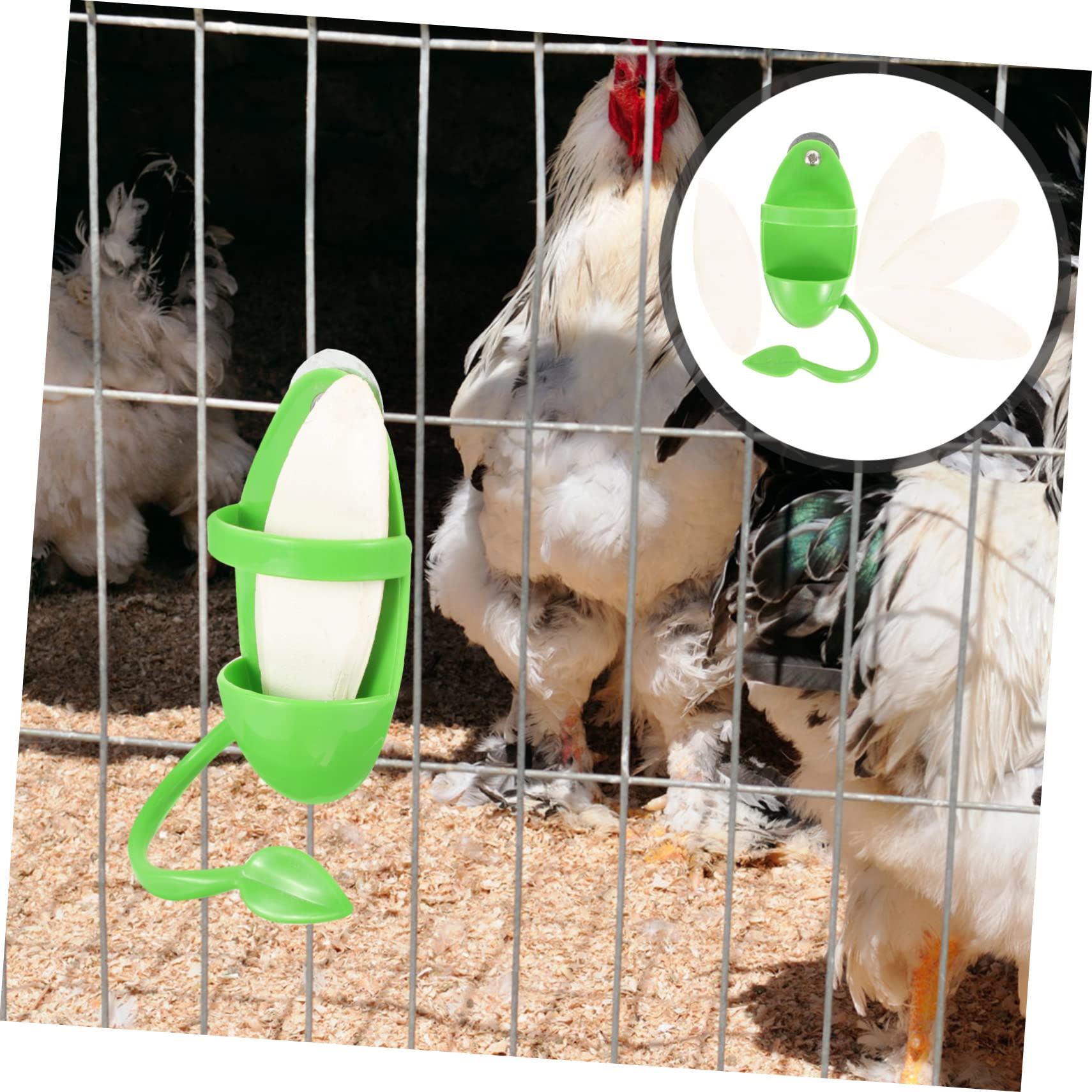 Mipcase 5ensembles Mangeoire Suspendue pour Oiseaux avec Support De Seiche Accessoire Pratique pour Perroquets Perruches Et Autres Oiseaux pour Fruits Et Légumes