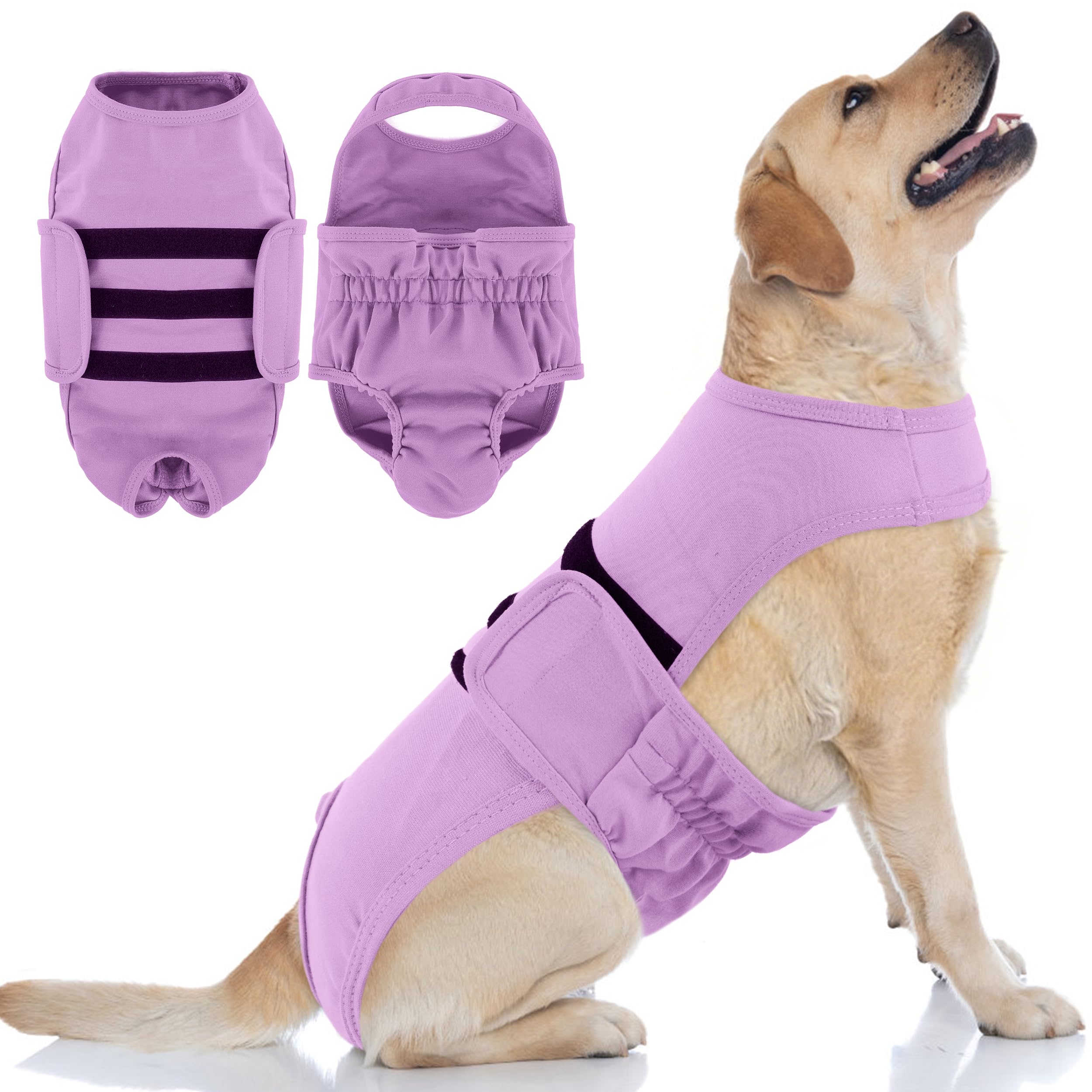 Photo 1 of PUMYPOREITY Reusable Dog Diaper - XL, Purple