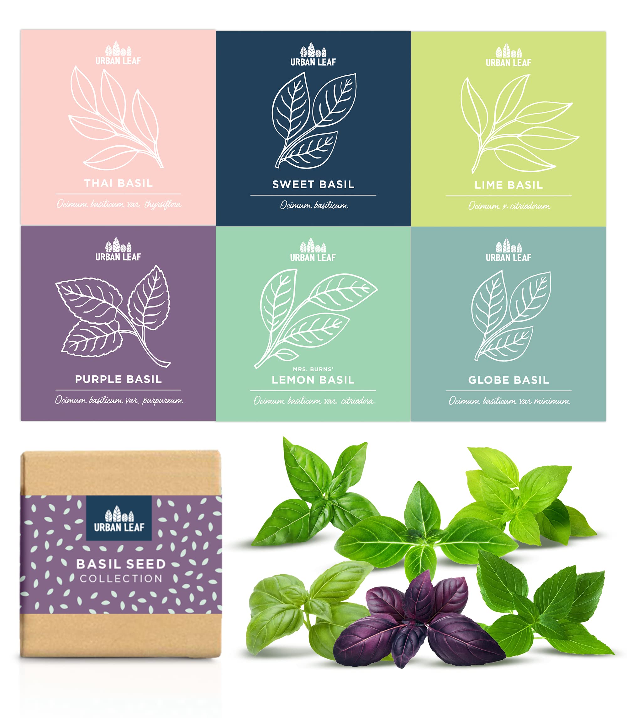 Basil Seeds for Planting - Herb Garden Seed Kit -Thai, Purple, Lime, Lemon, Spicy Globe and Sweet Italian Basil Seeds - Individual Seed Packets for Growing Plants Indoors, Outdoor Gardening and Eating