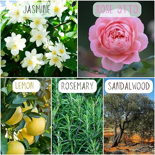 Miniatura 2 de Original Blend Edition  Aceite esencial 100% natural perfumado  Calcomanías de aromaterapia para máscara facial y almohada (12 calcomanías por