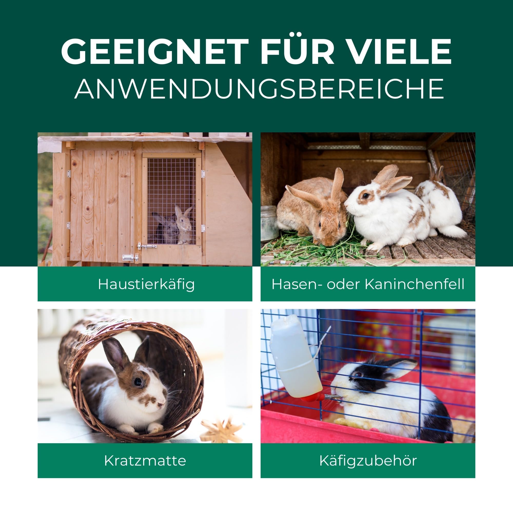Silberkraft Milbenspray Hase Kaninchen 2L Kanister - Effektives Anti Milben Spray für Nager - Milbenbefall behandeln bei Kaninchen Hasen Meerschweinchen