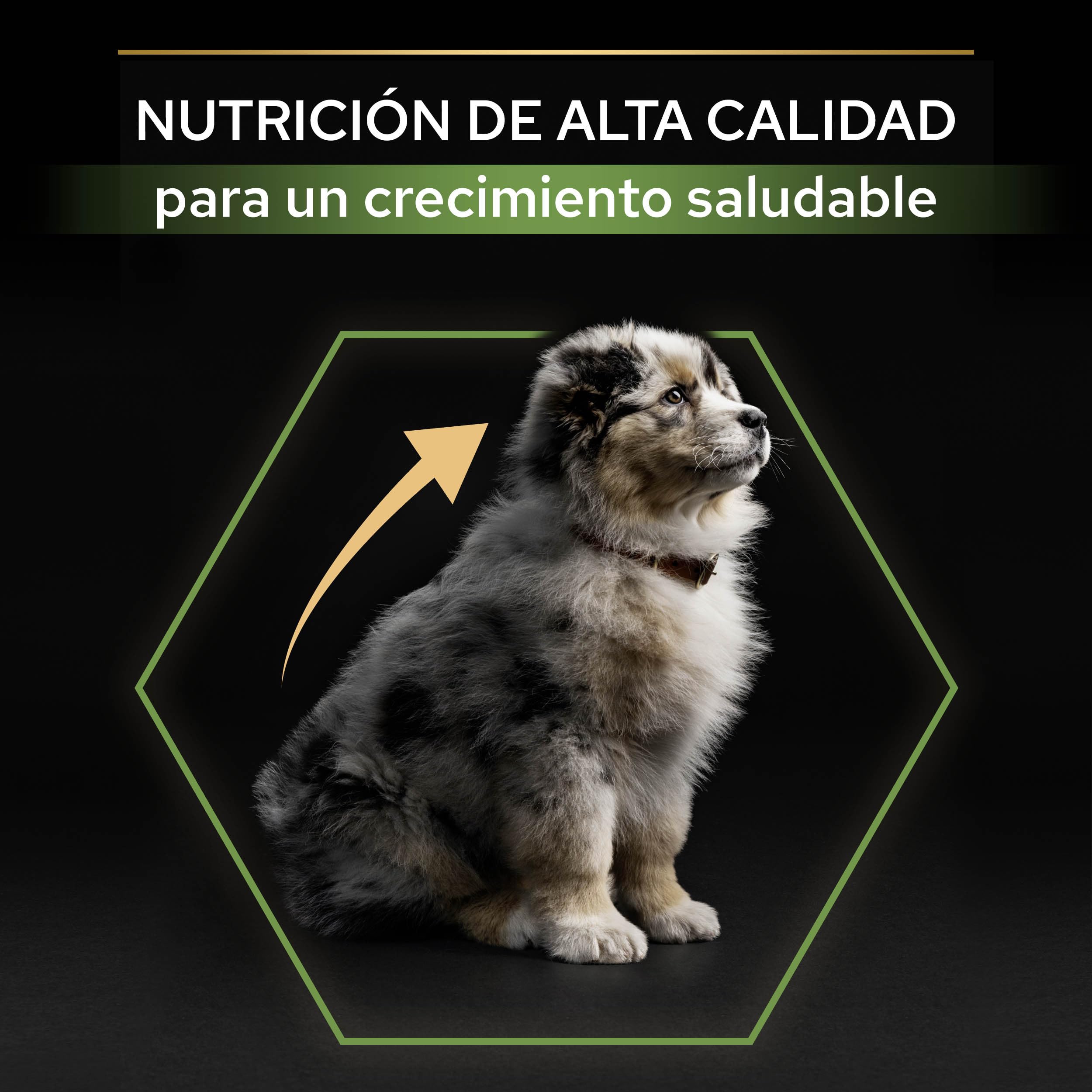 Pro Plan Medium Puppy Start pienso perro Cachorro con calostro 12 kg
