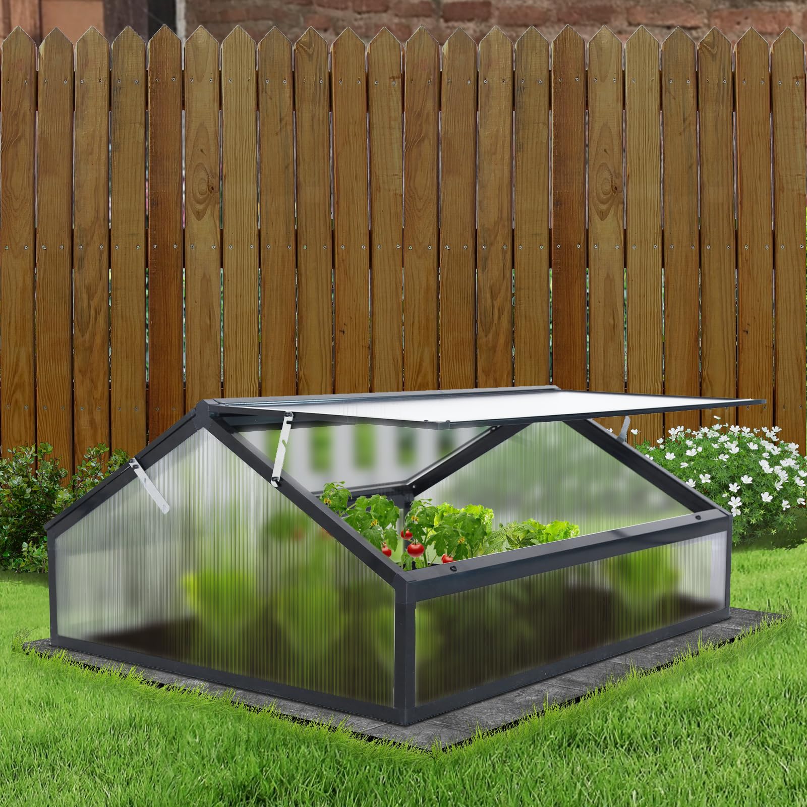 Mini serre en aluminium - Translucide - Pour tomates et plantes - 117 x 97 x 53 cm - Noir
