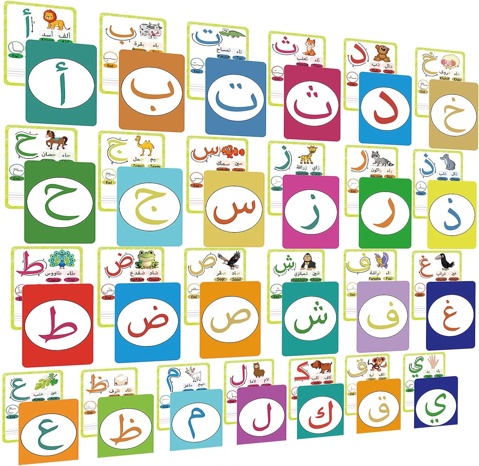 – 36 Pcs Arabic Alphabet Flash Cards, Learning First Alphabet Word Cards,for Home school ESL Teaching Aid Materials, Teacher/Autism Therapists Tools
