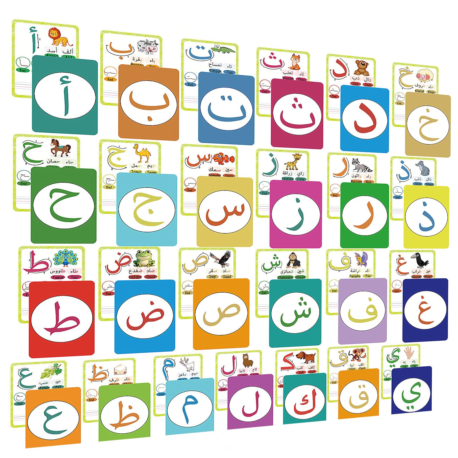 36 Pcs Arabic Alphabet Flash Cards, Learning First Alphabet Word Cards,for Home school ESL Teaching Aid Materials, Teacher/Autism Therapists Tools