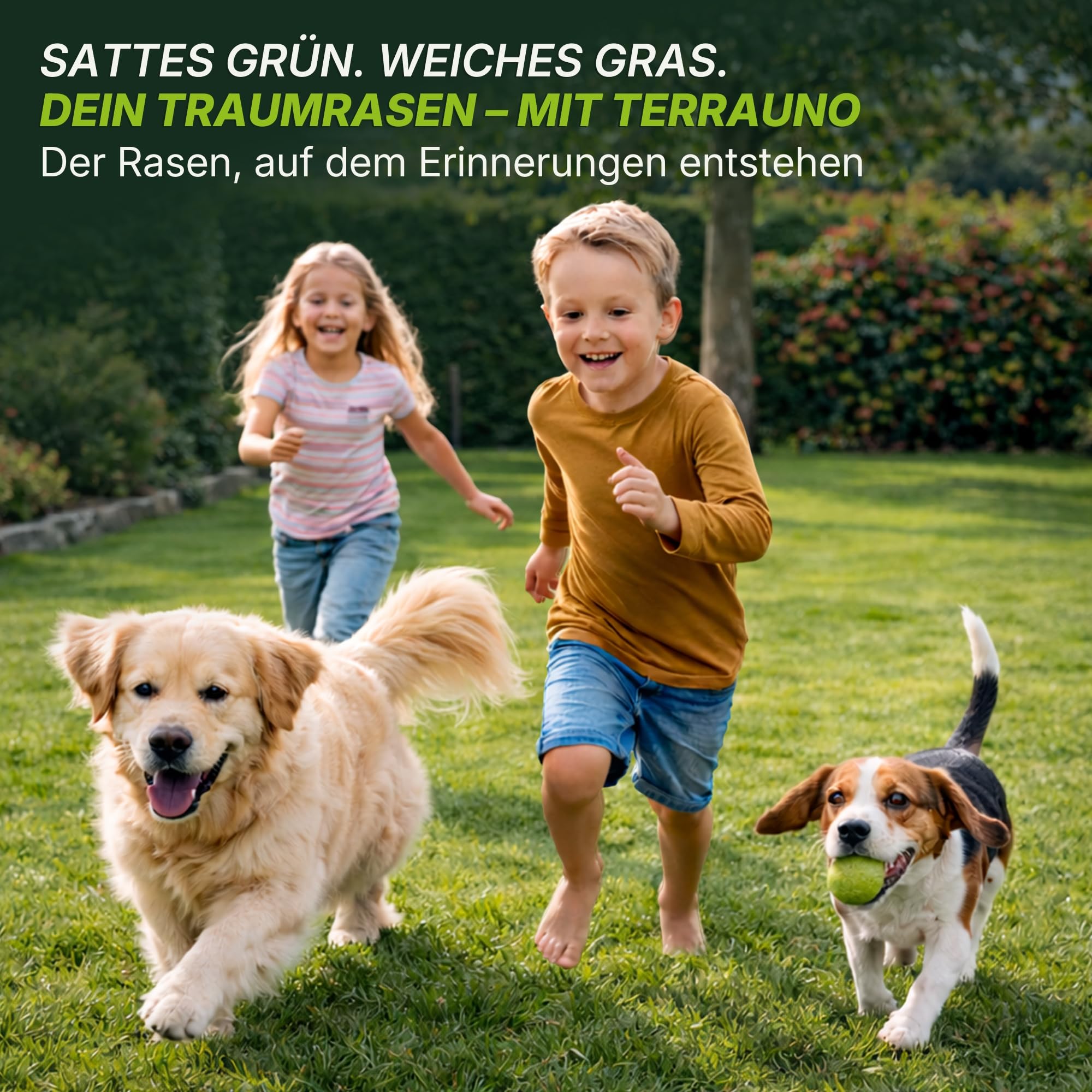 Terrauno - "Rasenretter" Vertikutiermix I 4 kg für 140 m² I Rasendünger, Rasensamen & Bodenaktivator I 3in1 Rasenreparaturmischung I Rasendünger Frühjahr mit Grassamen gegen kahle Stellen I Nachsaat