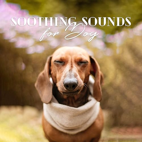 Soothing Sounds for Dog Pet Therapy, Relax Your Dog, Relaxing and