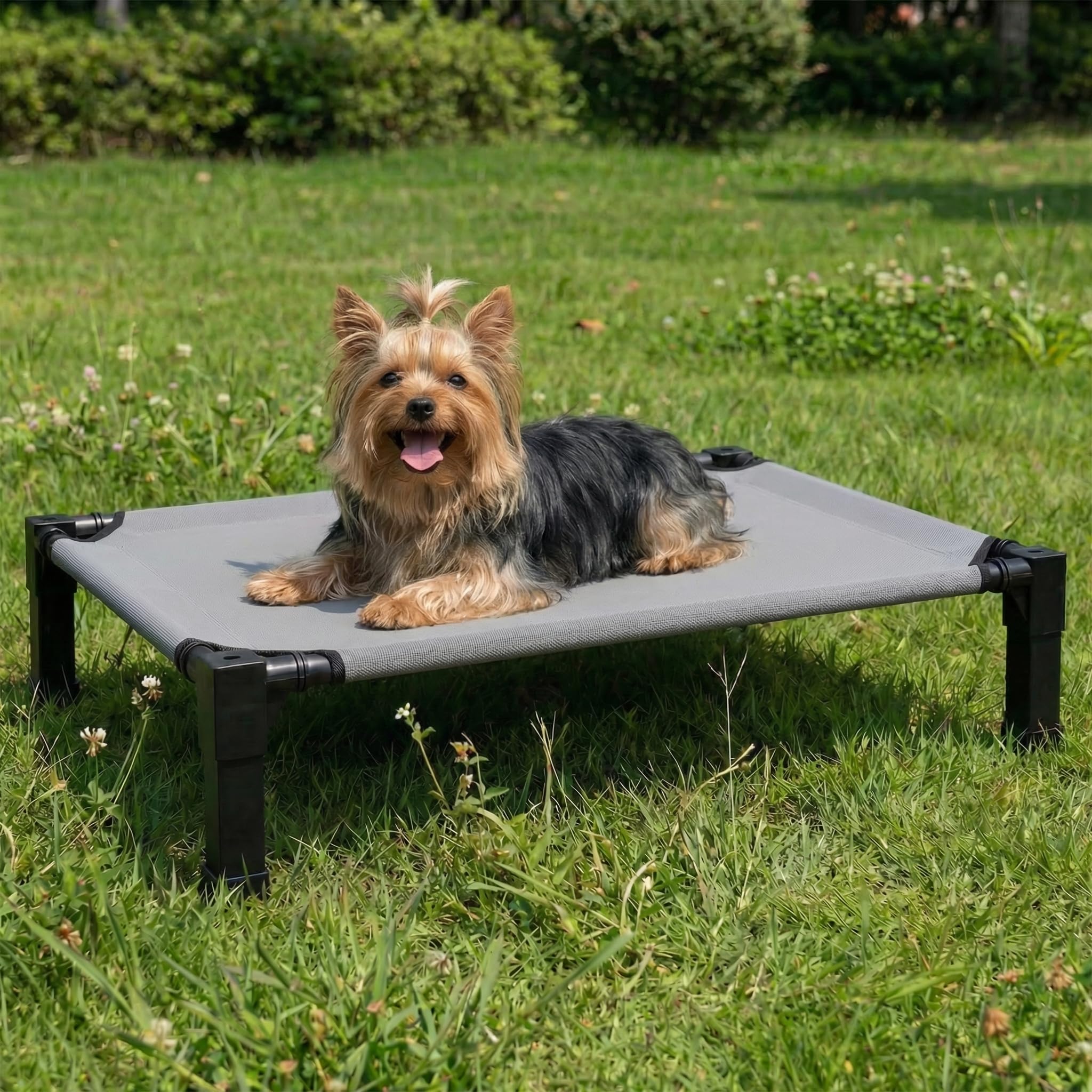 Niubya Elevated Dog Bed for Small Dogs, Cooling Mesh Cot, Chew-Proof Washable, Rust-Resistant Metal Frame, Non-Slip Feet – M: 90x63x19 cm – for Chihuahua, Yorkie & French Bulldog