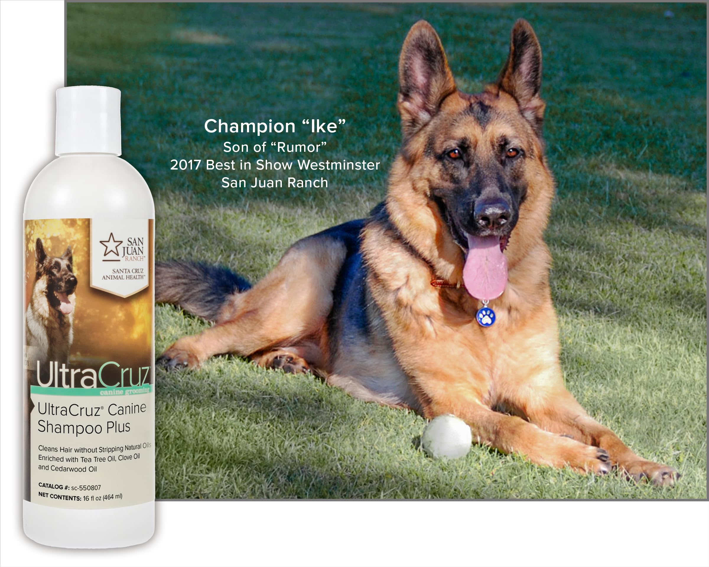 UltraCruz® Shampoo Canino Plus per cani, 1 gallone