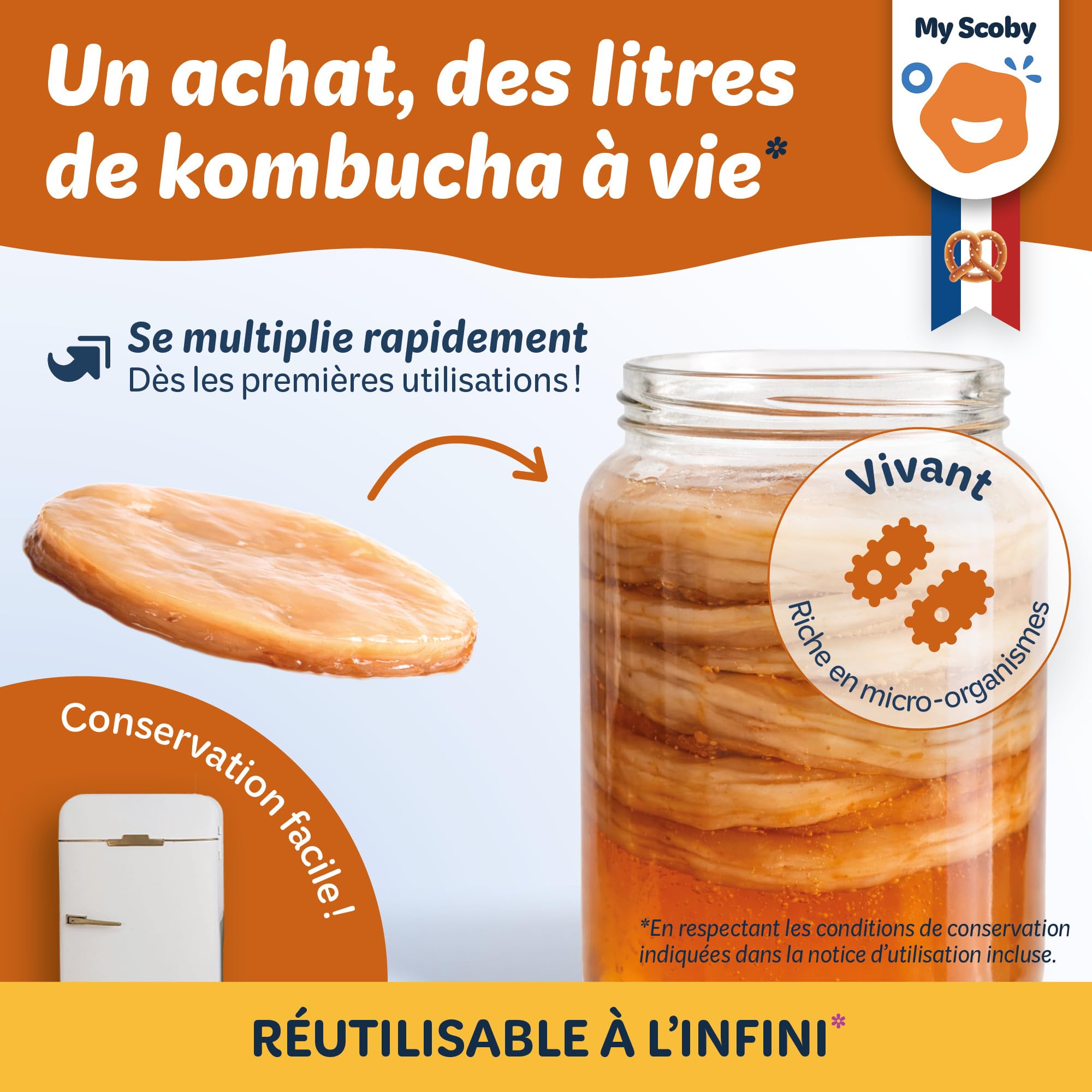 BIO Scoby di kombucha - Fresco - Riutilizzabile - Starter incluso - Controllato - Ricetta completa inclusa