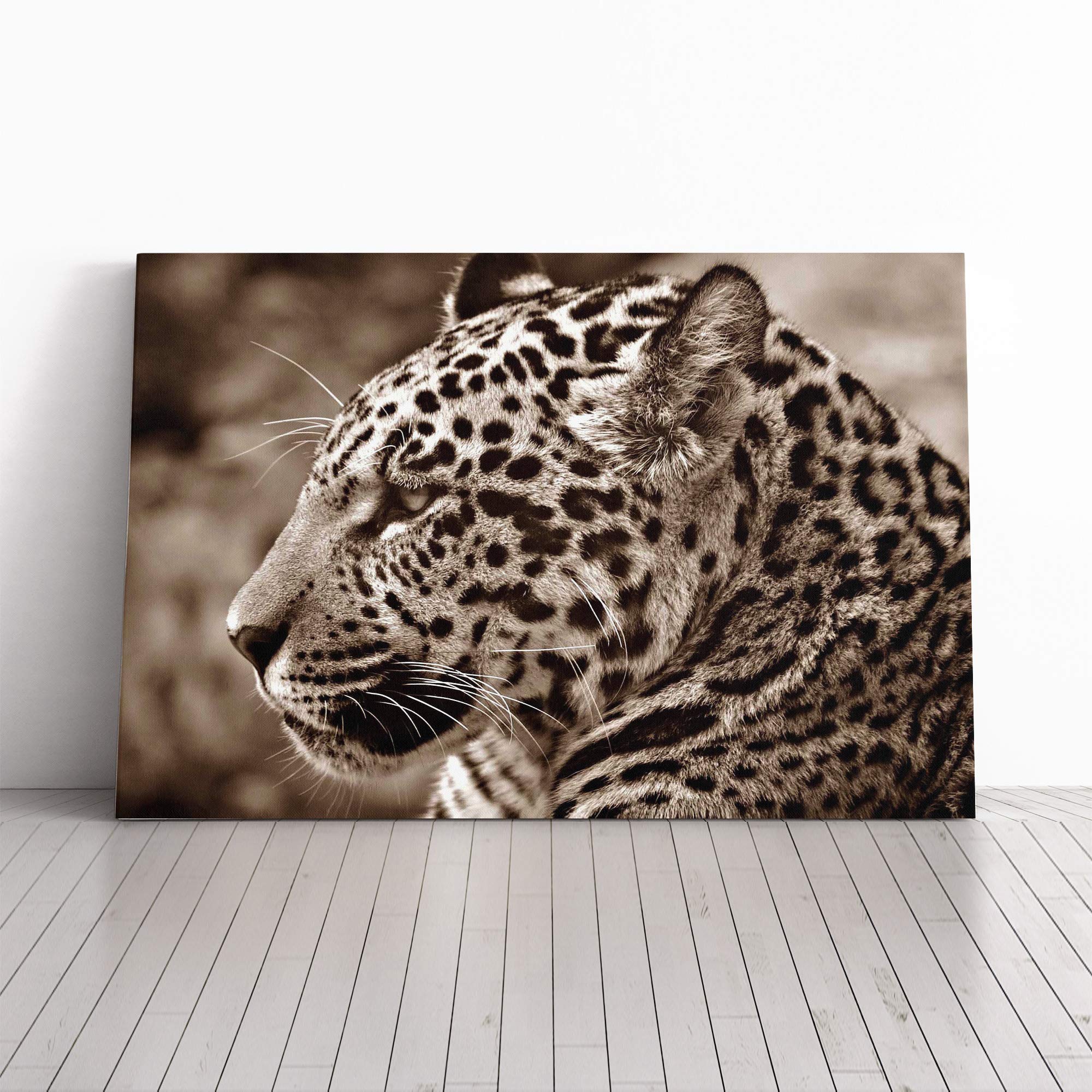 Jaguar Canvas Print | Gallery Wrapped 30mm Frame Wall Art | 20x14 inches | Ready to Hang | Modern Picture | Living Room Bedroom Lounge Office