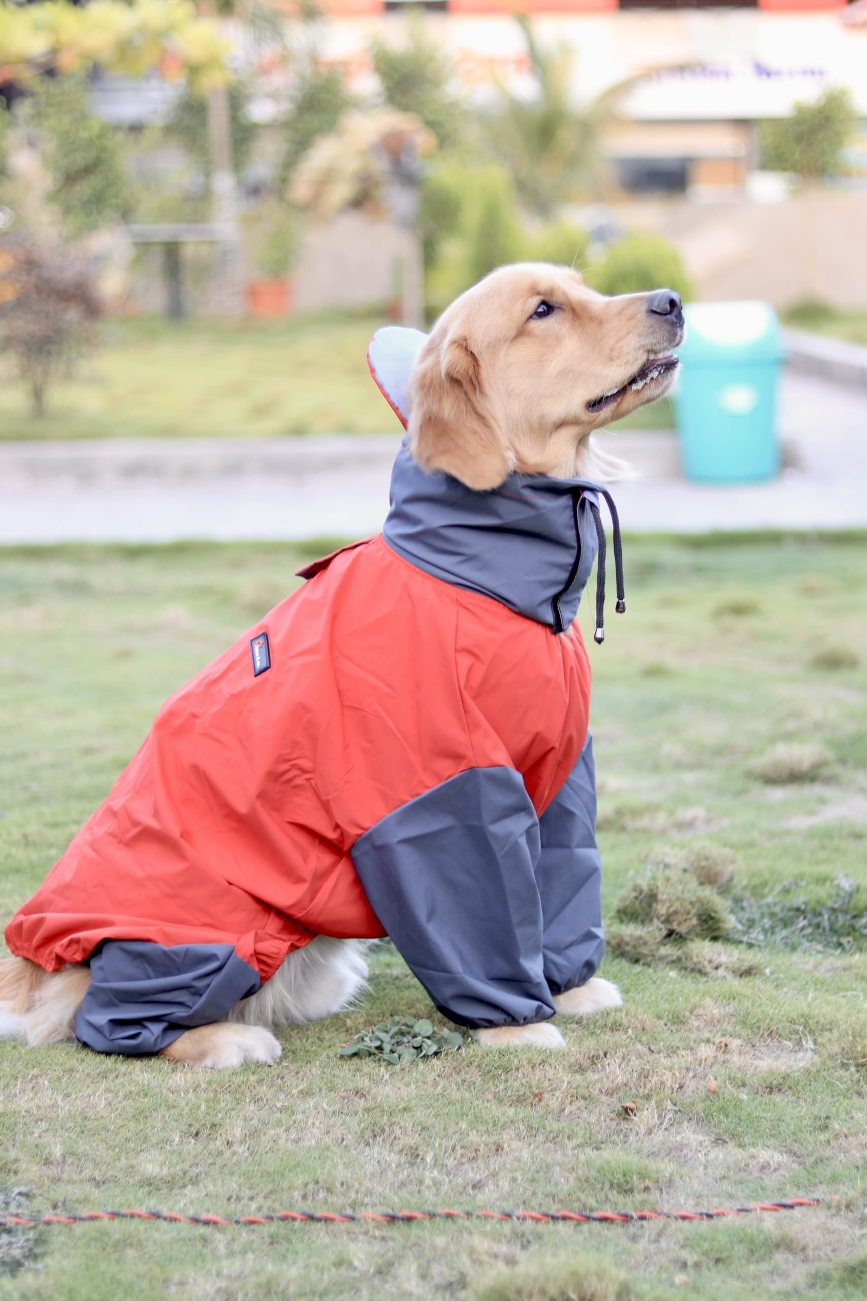 Bark N' Bones nylon Waterproof Dog Raincoat with Hood, Full Body Coverage, Red and Grey, for Large Breeds, Adjustable De
