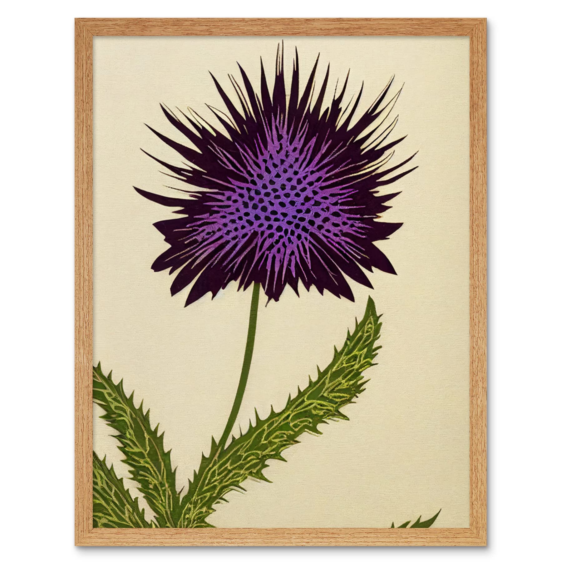 Wee Blue Coo Stylized Modern Purple Scottish Thistle Flower Illustration Artwork Framed Wall Art Print 9X7 Inch