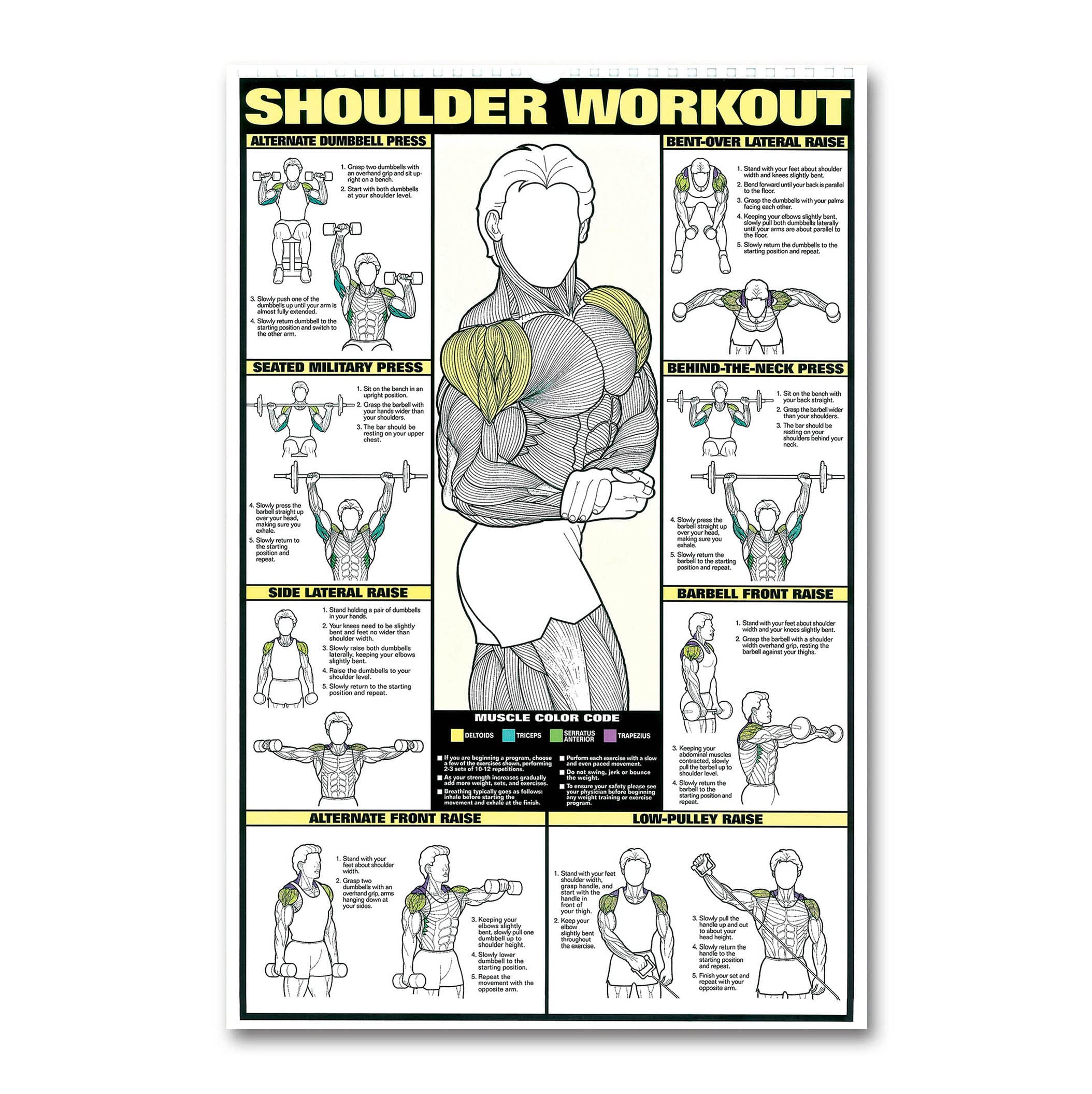 Tamatina Wall Poster | Gym Poster | Gym Motivational Poster | Laminated | Tearproof | Hostel | Poster for Boys Room | Size - 45 X 30 cms.J47