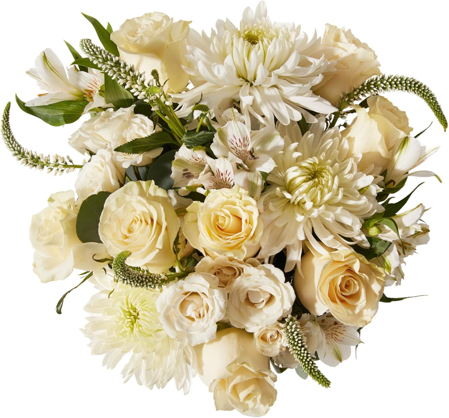 UrbanStems – The Dove Bouquet (No Vase) – Fresh Flowers for Delivery – Gift for Birthday, Thank You, Sympathy, Thinking of You, Friendship