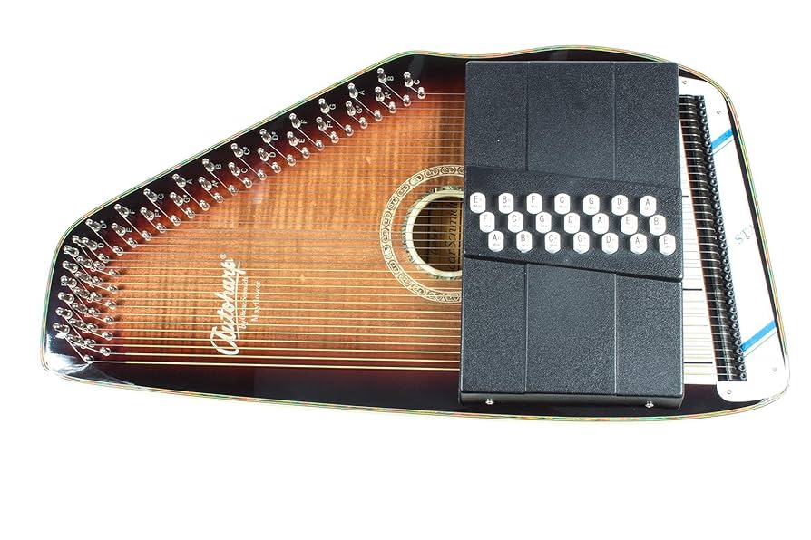 和楽器 Rose&Cat Amazon.com: Autoharp | Oscar Schmidt OS11021FE 電動自動豎琴