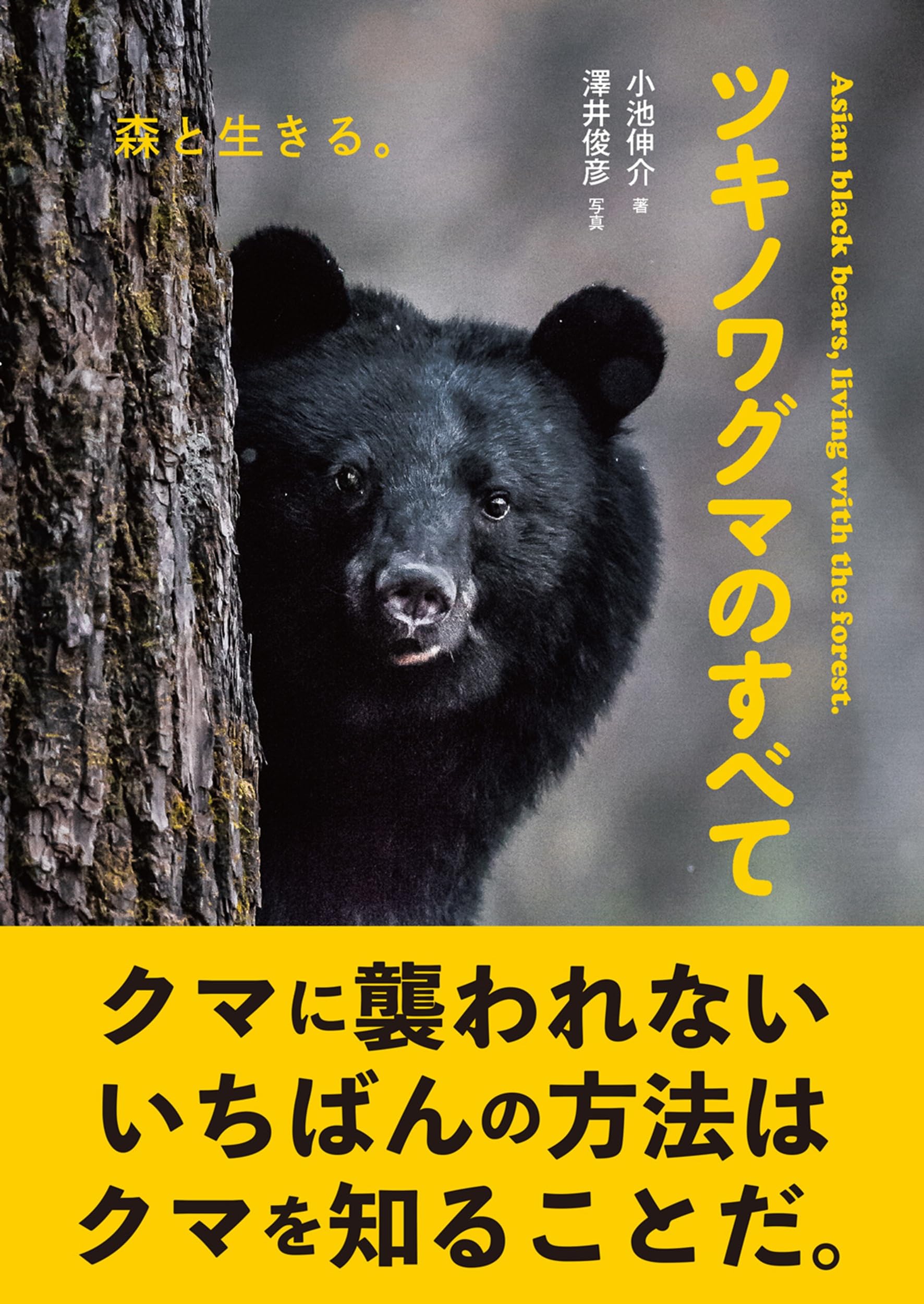 ツキノワグマのすべて: 森と生きる。 | 小池伸介, 澤井俊彦 |本 | 通販