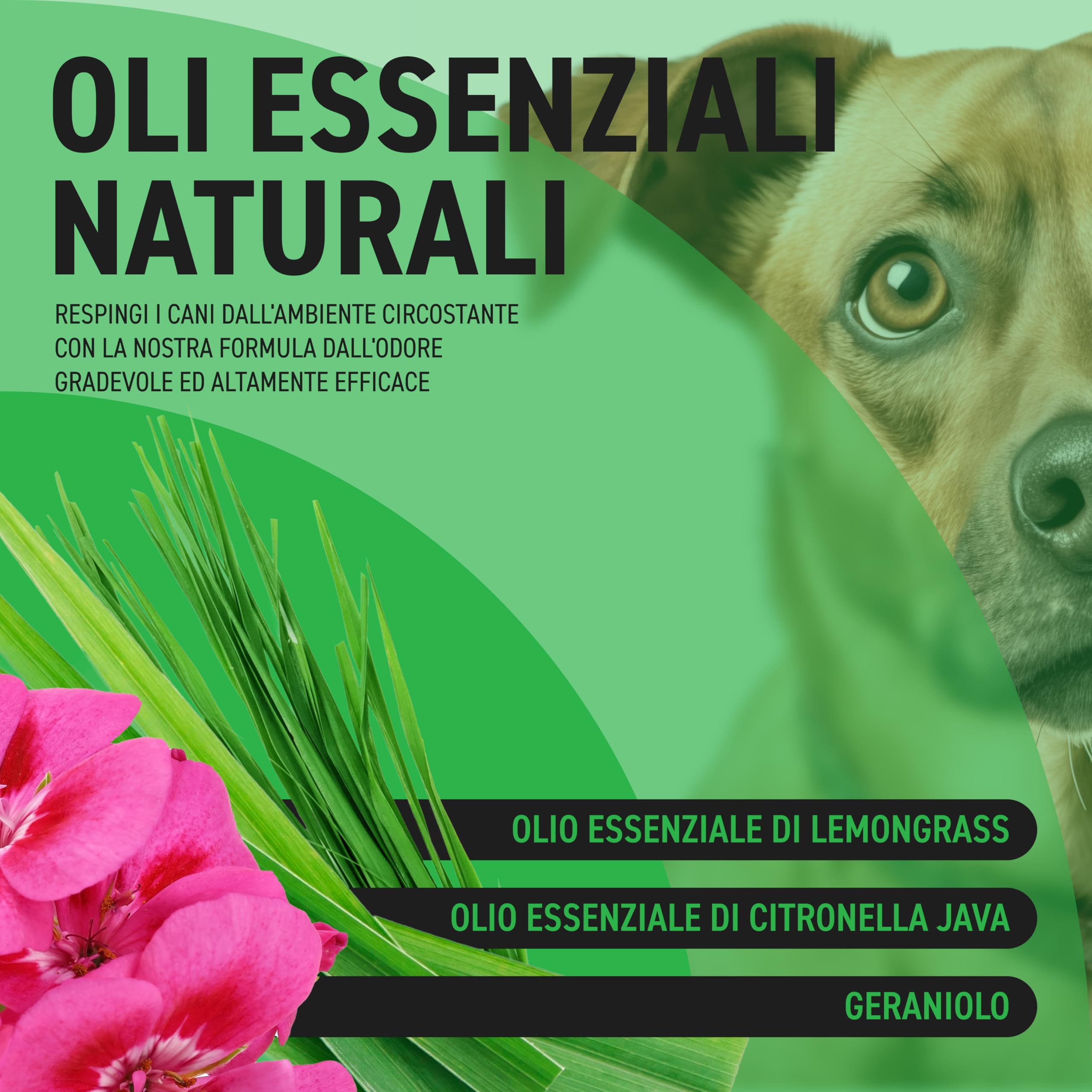 RepellShield Spray Disabituante per Cani 250ml - Repellente Naturale per Cani da Interno ed Esterno - Dissuasore Anti Pipi e Morsi