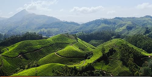 Miniatura 7 de Polvo de matcha orgánico de grado ceremonial (1.06 onzas), té verde diario sin azúcar de Kyoto Uji, para concentración tranquila, energía sin