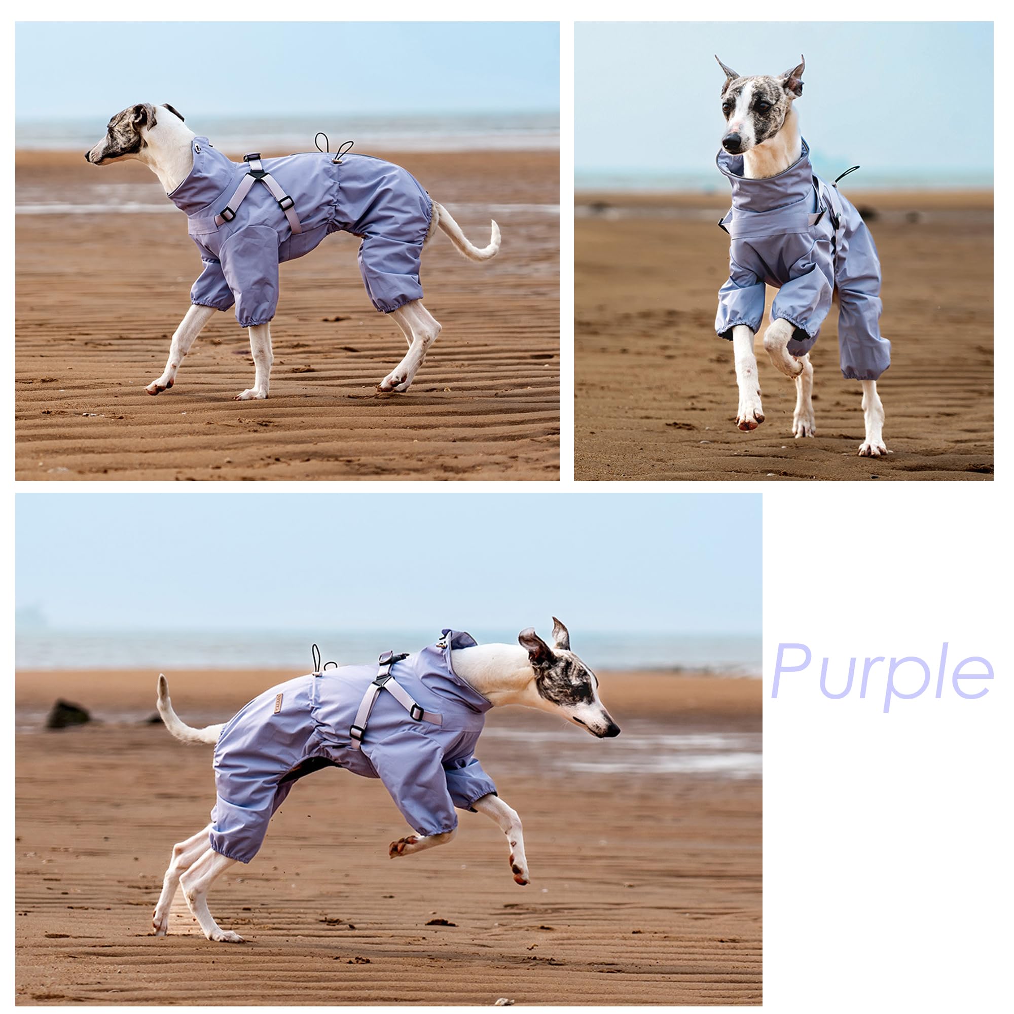 Arnés impermeable para perro, chaqueta ajustable de 4 patas con arnés, traje reflectante impermeable para perros medianos y grandes, púrpura 5XL