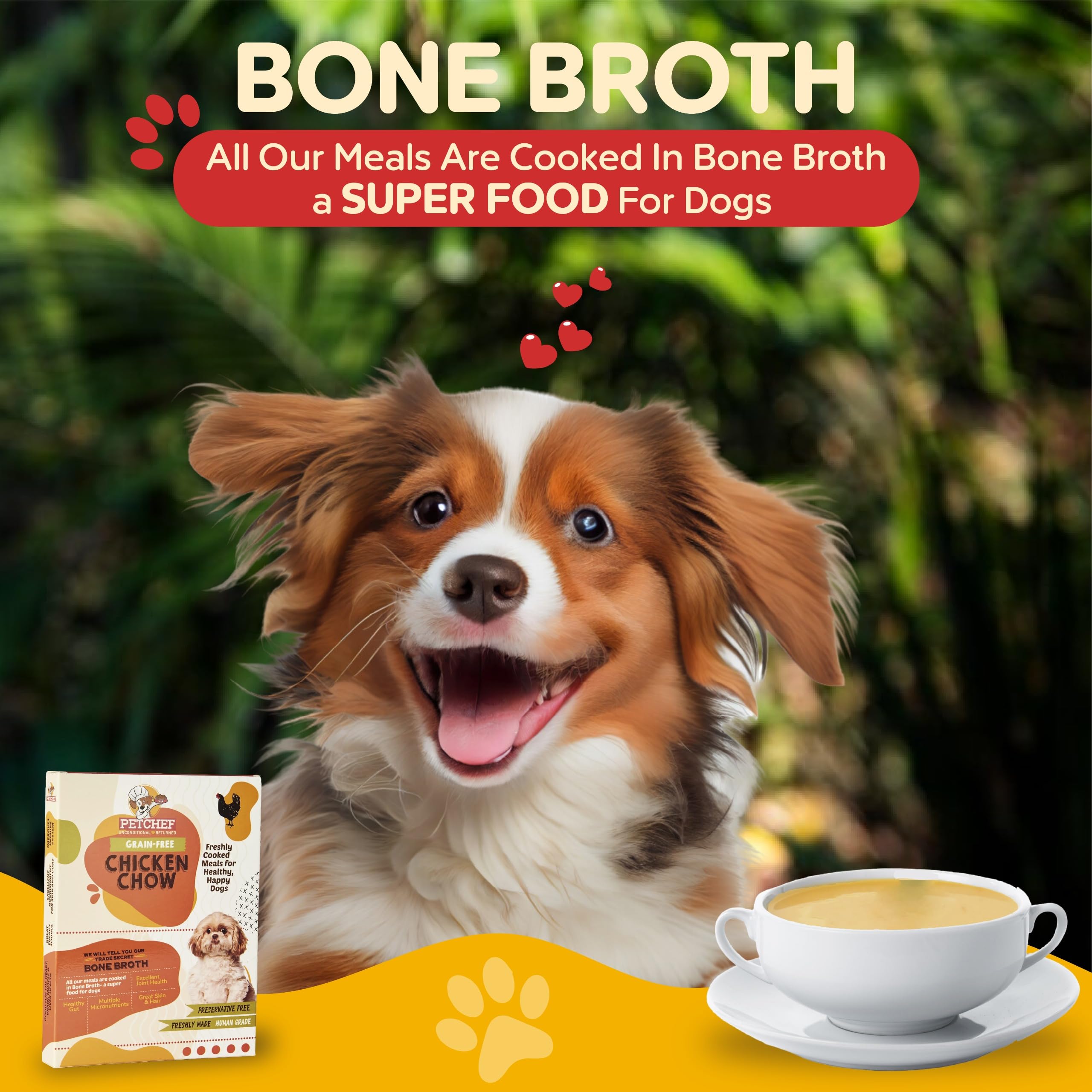 PetChef's Wet Dog Food|Grain-Free Chicken Chow & Brown Rice|Delicious wet Gravy|Natural and Grain-Free, No Artificial Flavours, Added Vitamins and Proteins|Dog Food for Adult and Puppy|Pack of 1x300gm 1