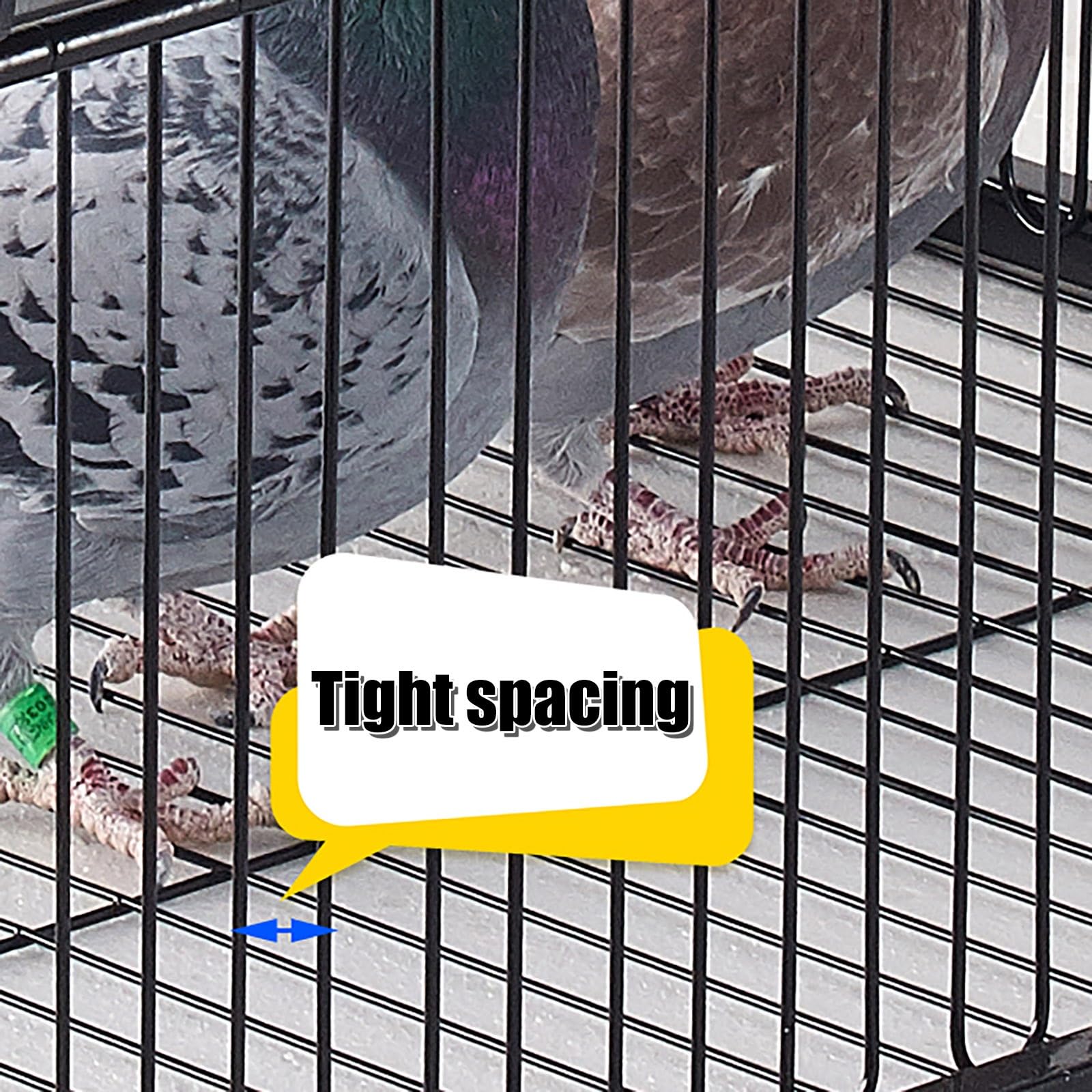 Jaula trampa para palomas con entradas unidireccionales y tragaluces para un fácil montaje y limpieza, solución de control de animales
