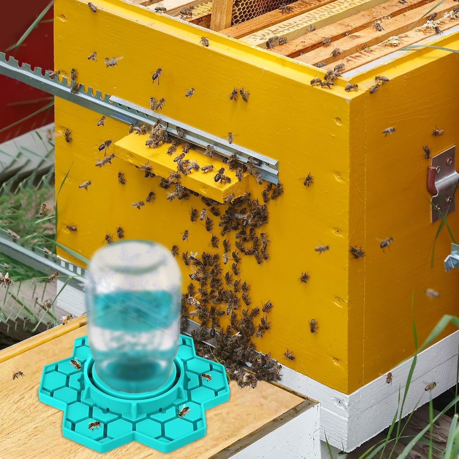 Bee Feeder for Mason Jar, Silicone Bee Watering Station 2 Pack image 4